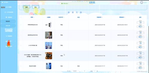 springboot網(wǎng)上商城系統(tǒng) 畢業(yè)設計 附源碼08789